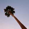 USA Florida / Karibik Album